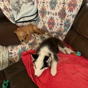 Meet your Posher, Larry